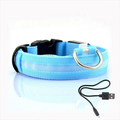 LED Dog Collar - GlowCollar Bowlift