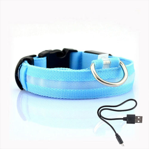 LED Dog Collar - GlowCollar Bowlift