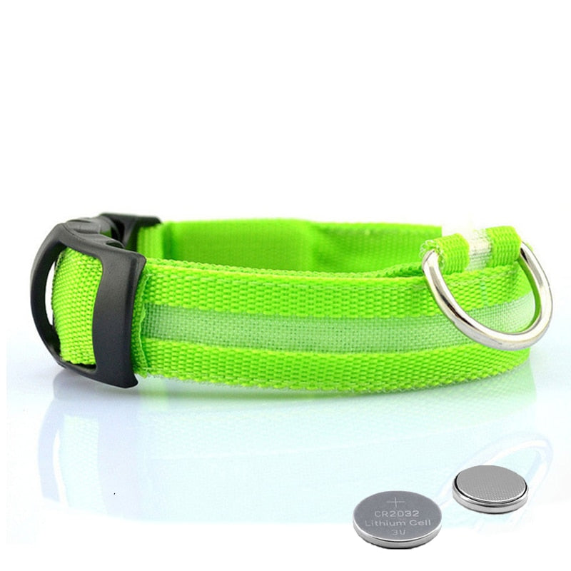 LED Dog Collar - GlowCollar Bowlift