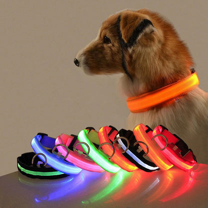 LED Dog Collar - GlowCollar Bowlift