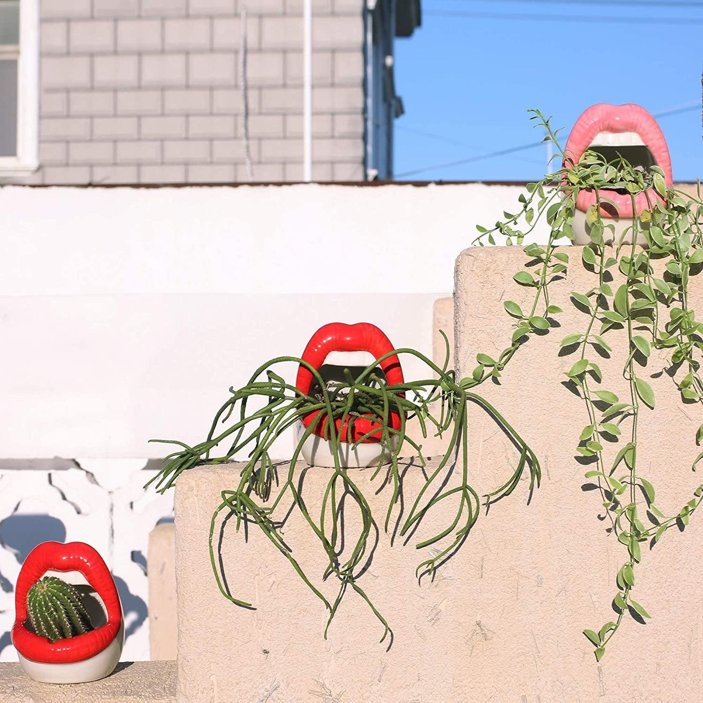 LZINA™ | Lips Flower Pot