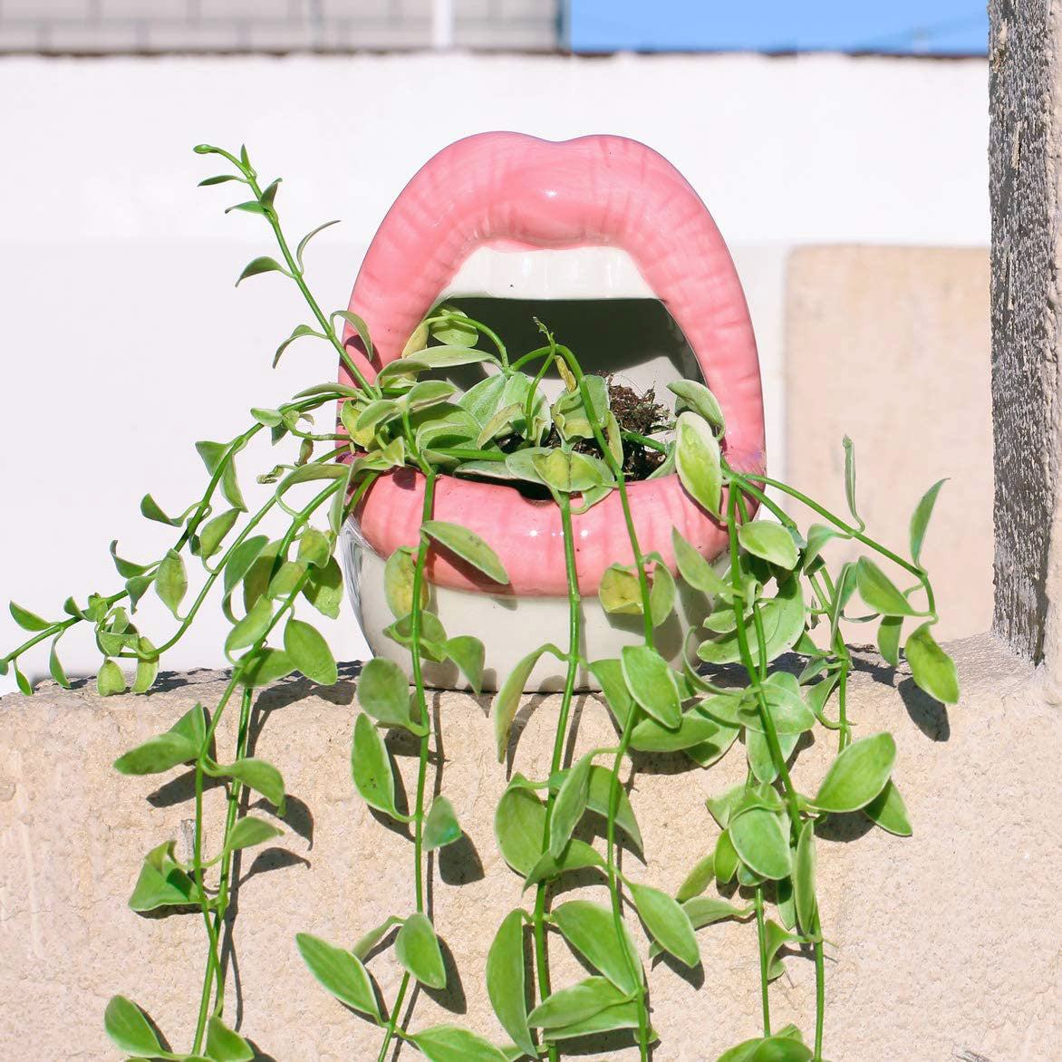 LZINA™ | Lips Flower Pot
