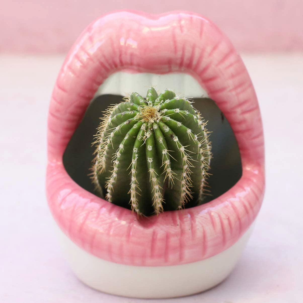 LZINA™ | Lips Flower Pot