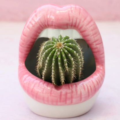 LZINA™ | Lips Flower Pot