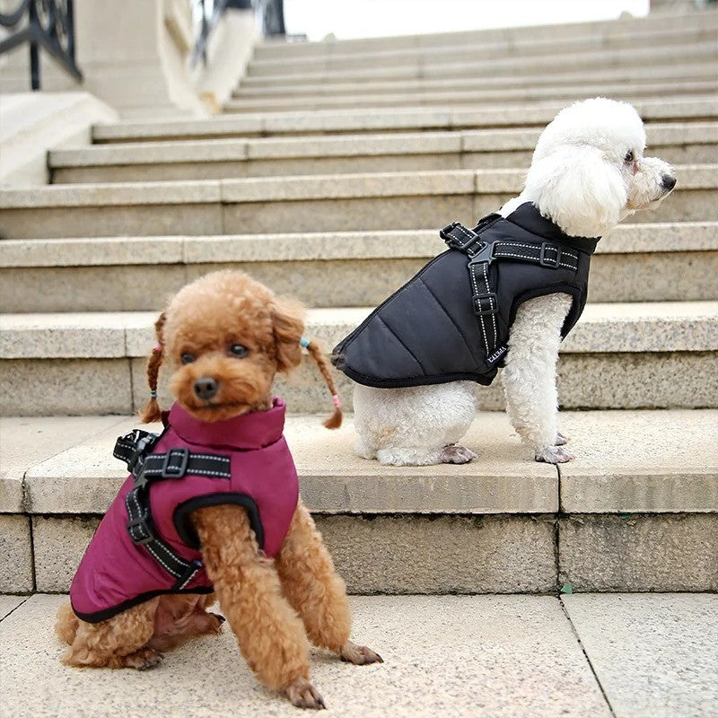 BowLift | All-Weather Insulated Dog Jacket with Built-in Harness