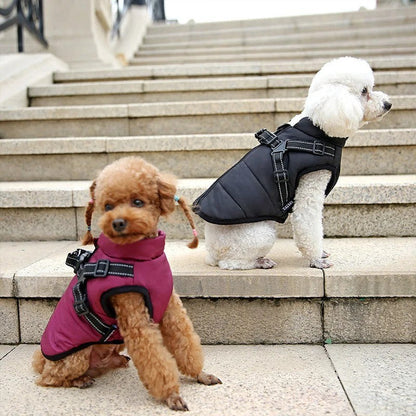 BowLift | All-Weather Insulated Dog Jacket with Built-in Harness