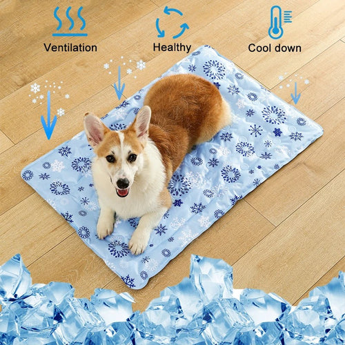 Dog Cooling Mat Bowlift
