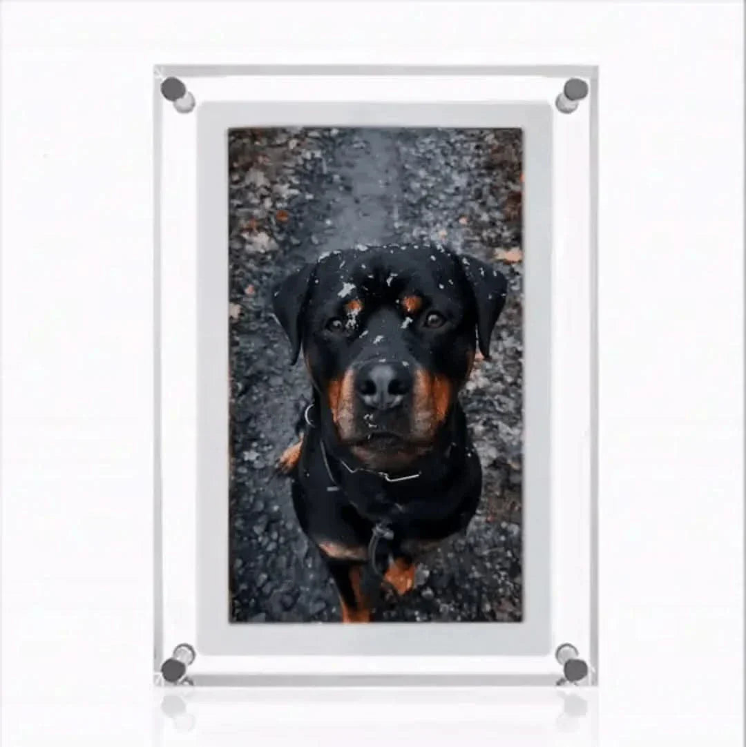 LZINA™ | Memory Frame | For Eternal Memories