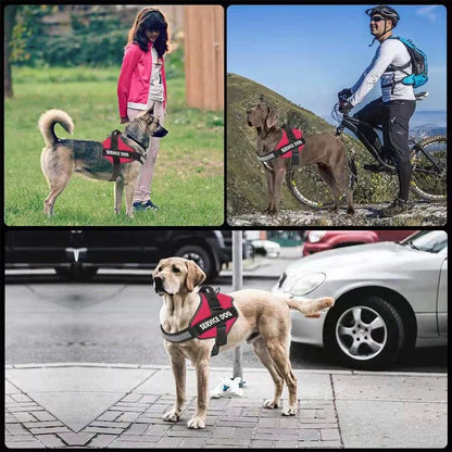 PawsFit •  No Pull Dog Harness
