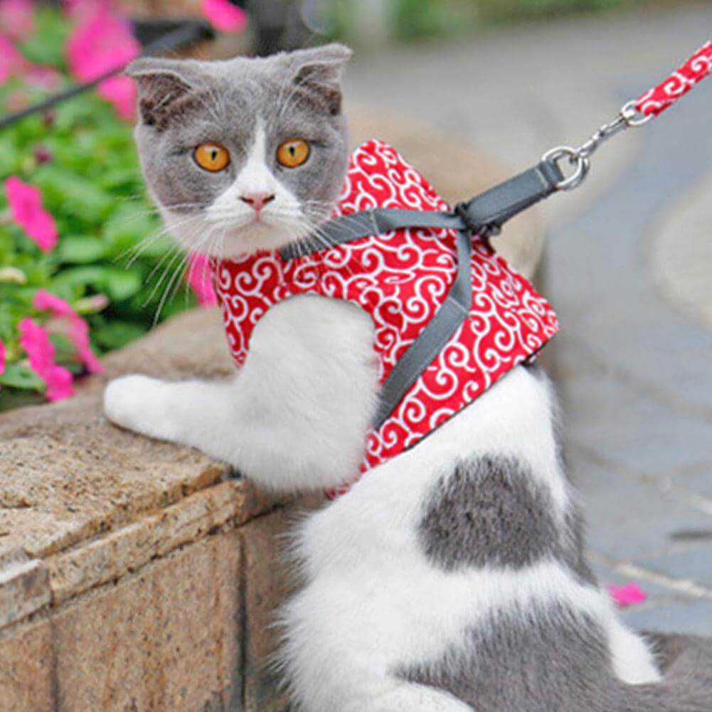 BowLift | PAWVENTURE HARNESS – Cat Harness Vest Set with Breathable Mesh & Leash