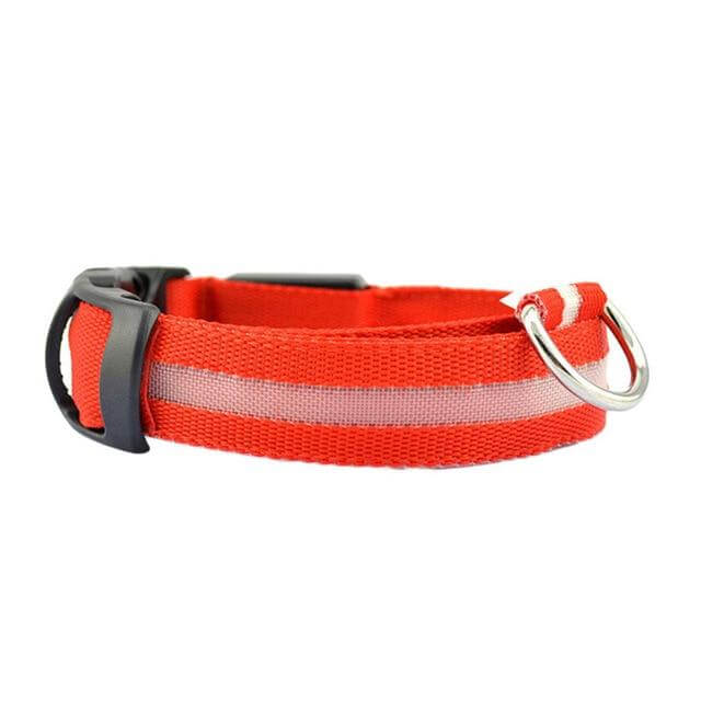 BowLift | GlowPets LED Collar – Safety & Visibility for Pets