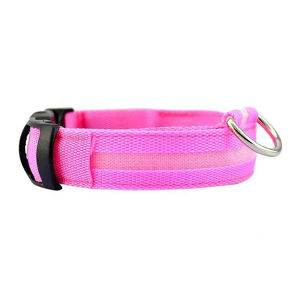 BowLift | GlowPets LED Collar – Safety & Visibility for Pets