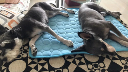 Dog Cooling Mat Summer Pad for Dogs Cat Blanket Breathable Dog Bed Kennel Puppy Sleeping Sofa Cushion Dog Accessories | Bowlift