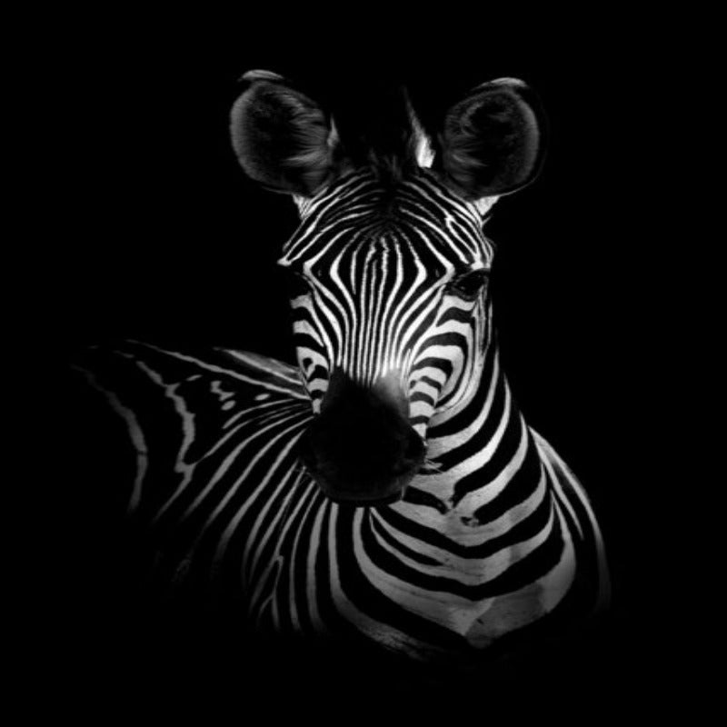 LZINA™ | Nature Wild Animals Africa Wildlife Black White - Canvas Wall Art Painting