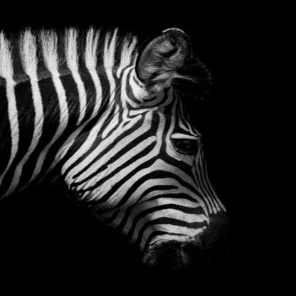 LZINA™ | Nature Wild Animals Africa Wildlife Black White - Canvas Wall Art Painting