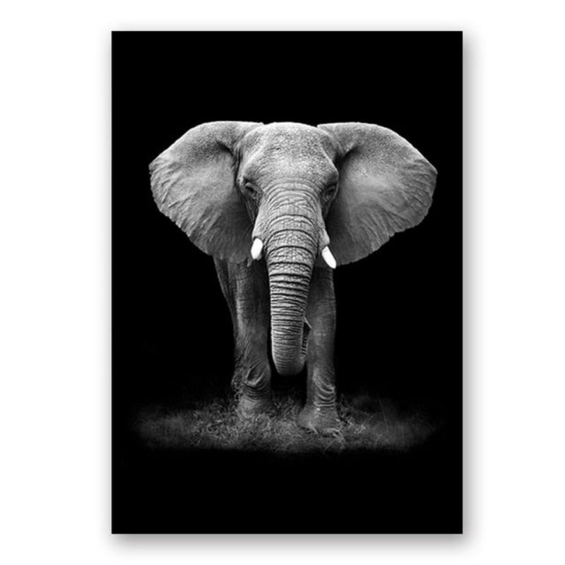 LZINA™ | Nature Wild Animals Africa Wildlife Black White - Canvas Wall Art Painting
