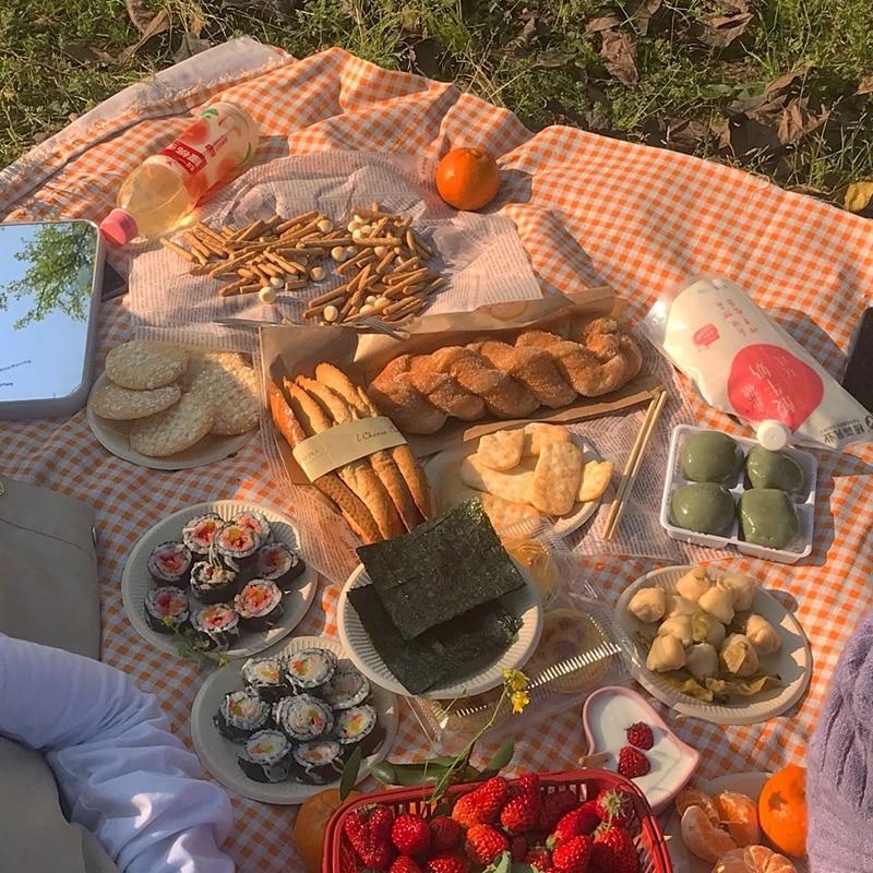LZINA™ | Clementine Gingham Picnic Blanket