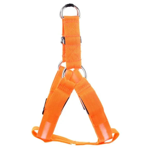 GlowSafe LED Dog Harness Bowlift