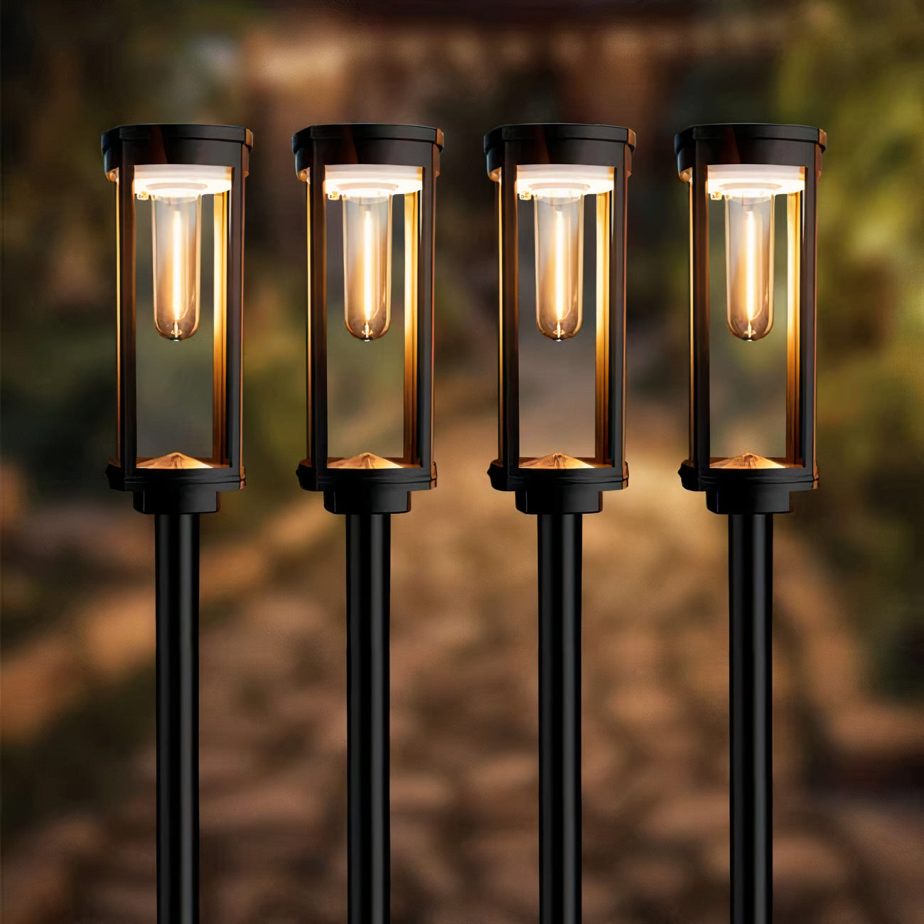 LZINA™ | EcoShine (2 pieces)