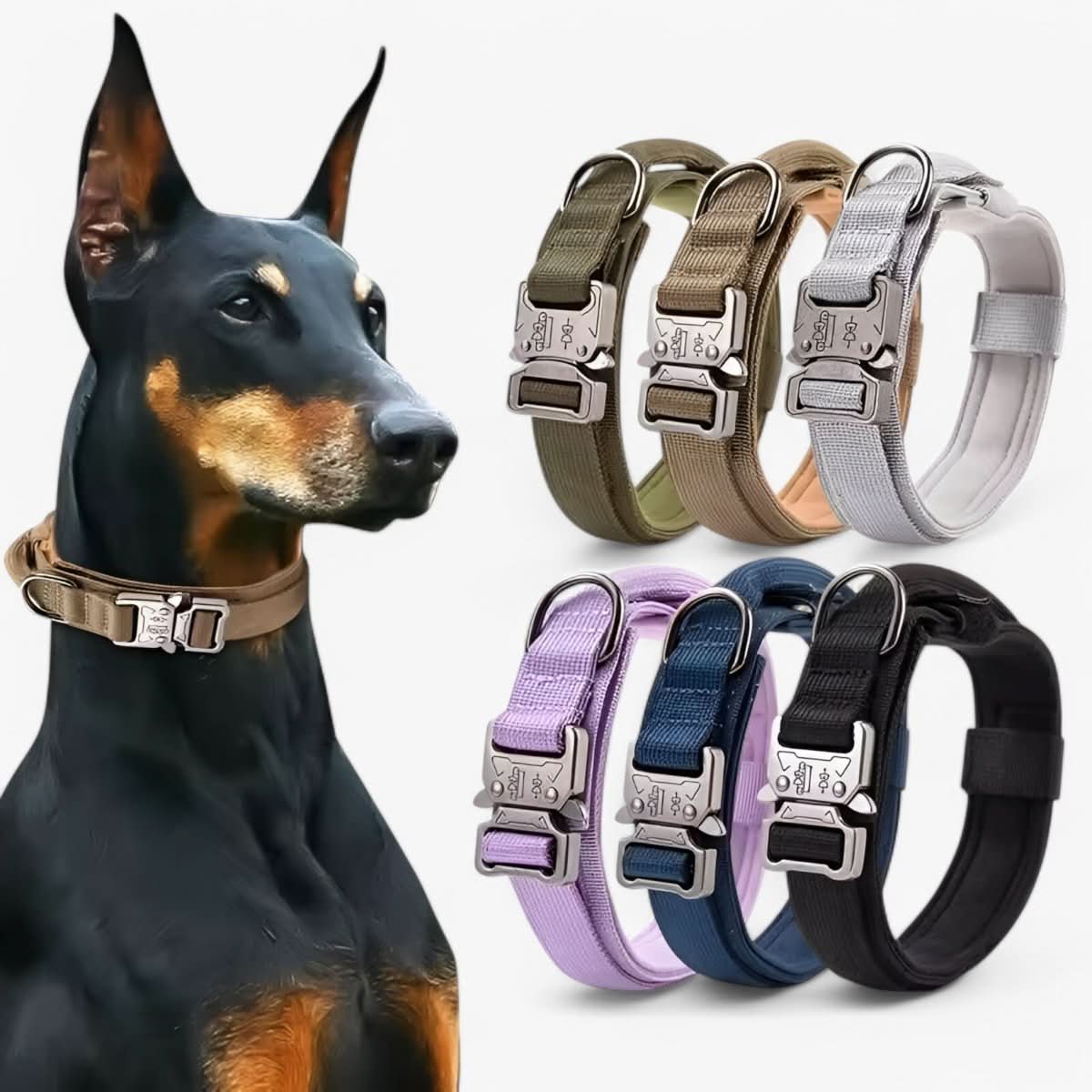 BowLift | Adjustable Dog Collar Set for Adventures and Daily Training
