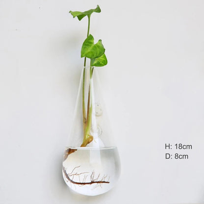 LZINA™ | Wall vase made of glass