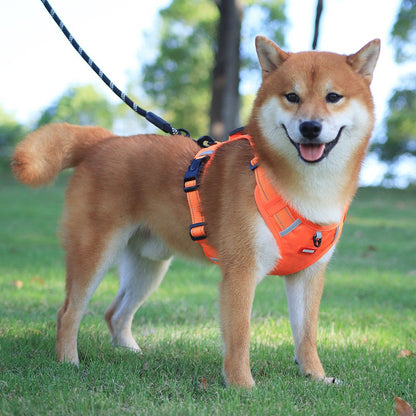BowLift | WalkEase Harness – Anti-pull dog harness for relaxed walks & healthy posture