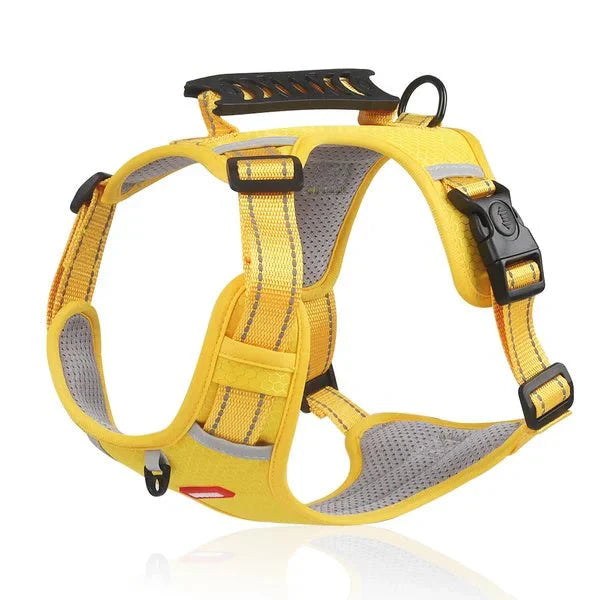 BowLift | WalkEase Harness – Anti-pull dog harness for relaxed walks & healthy posture
