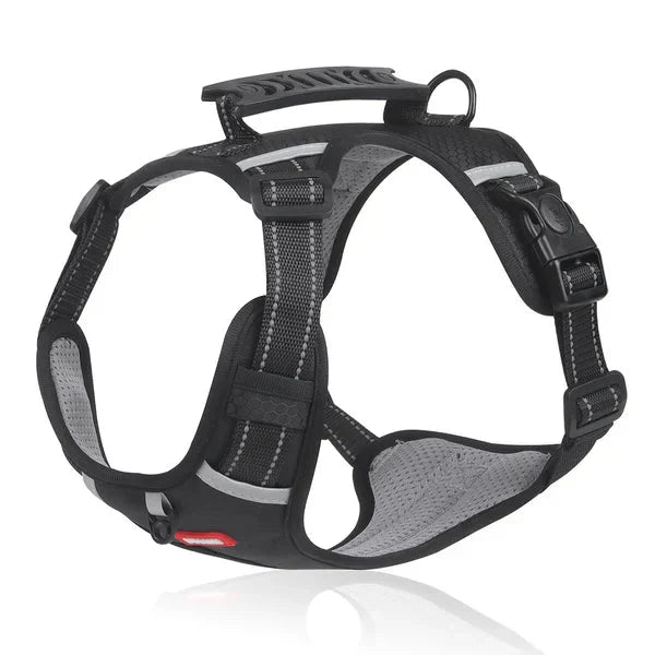 BowLift | WalkEase Harness – Anti-pull dog harness for relaxed walks & healthy posture