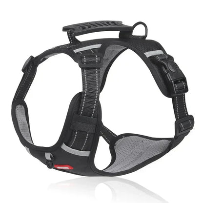 BowLift | WalkEase Harness – Anti-pull dog harness for relaxed walks & healthy posture