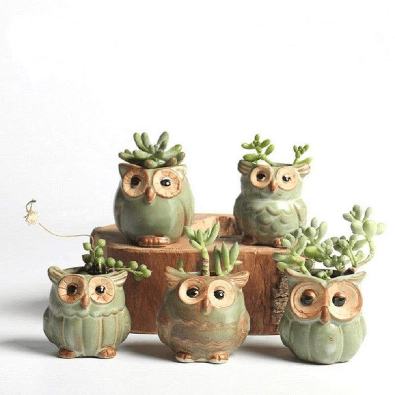 LZINA™ | Owls Ceramic Flower Pot Set 5-piece