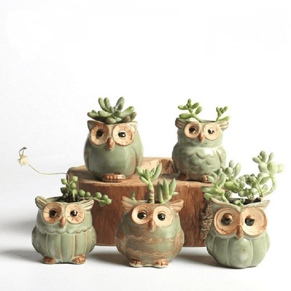LZINA™ | Owls Ceramic Flower Pot Set 5-piece