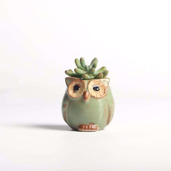 LZINA™ | Owls Ceramic Flower Pot Set 5-piece