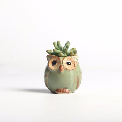LZINA™ | Owls Ceramic Flower Pot Set 5-piece
