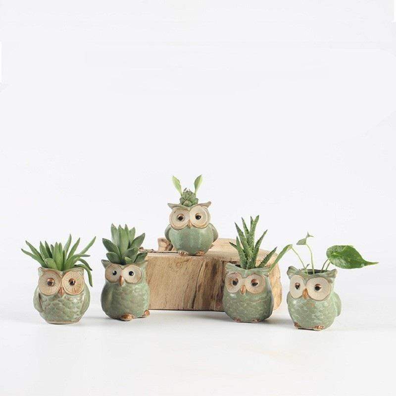 LZINA™ | Owls Ceramic Flower Pot Set 5-piece