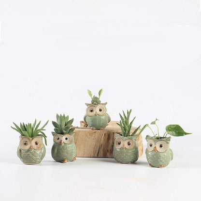 LZINA™ | Owls Ceramic Flower Pot Set 5-piece