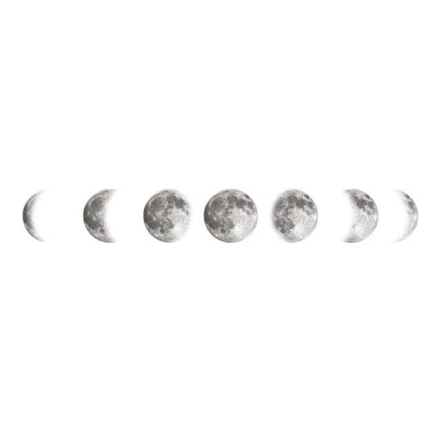 LZINA™ | Mouth Phases Wall Sticker
